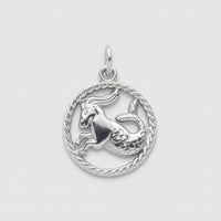 Silver Capricorn Zodiac Charm
