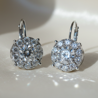14K White Gold Round Diamond Cluster Lever Back Earrings - Pair View